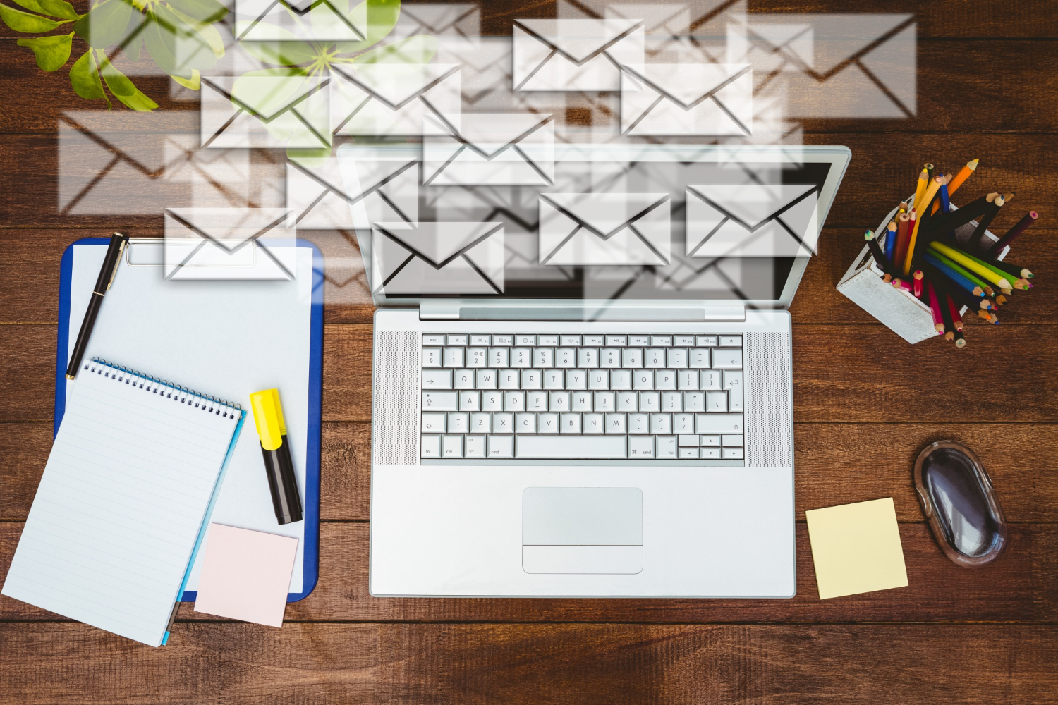 เครื่องมือ Email Marketing